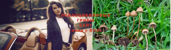 молекула духа Армянск
